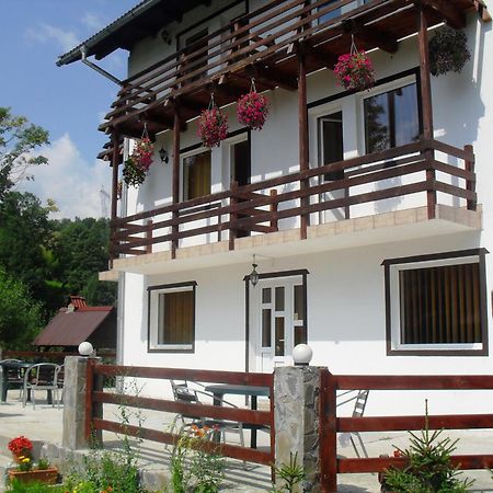 Vila Doina Branului Bran  Exteriér fotografie