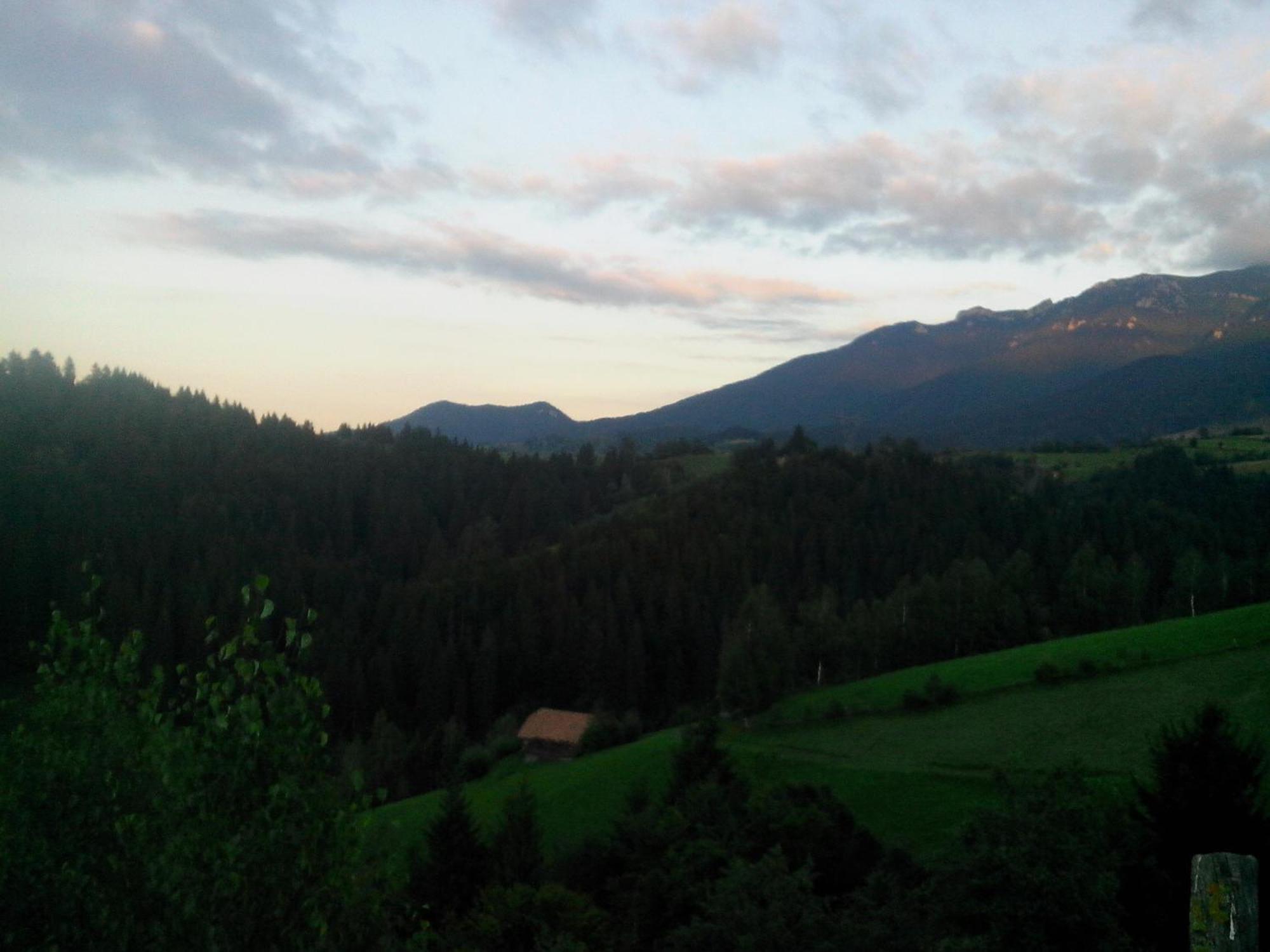 Vila Doina Branului Bran  Exteriér fotografie