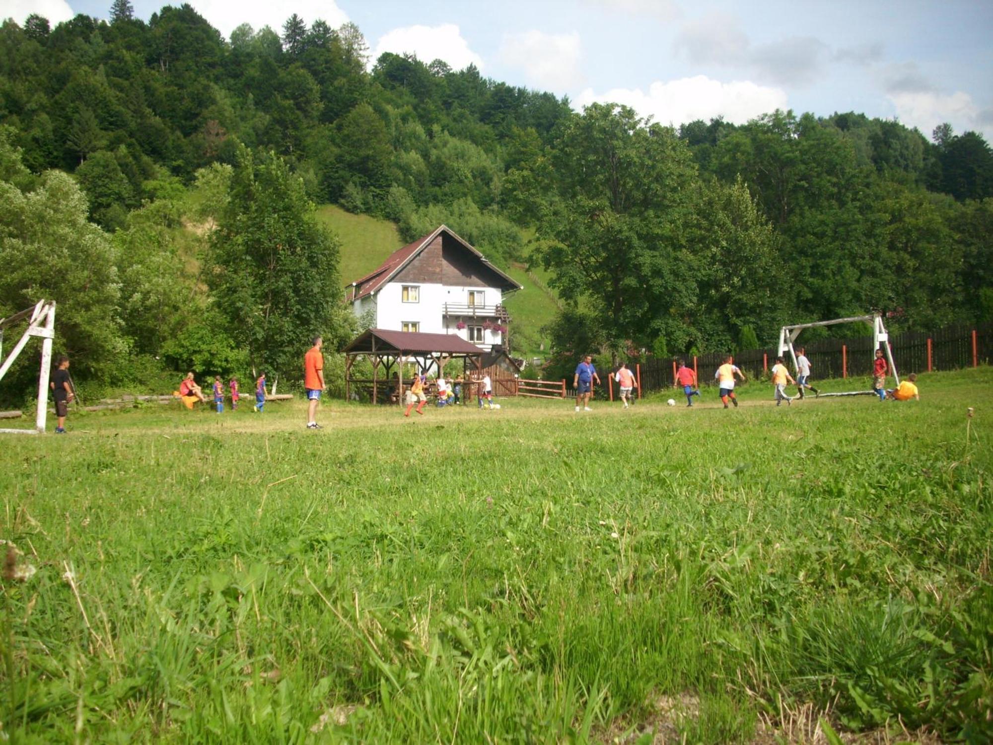 Vila Doina Branului Bran  Exteriér fotografie