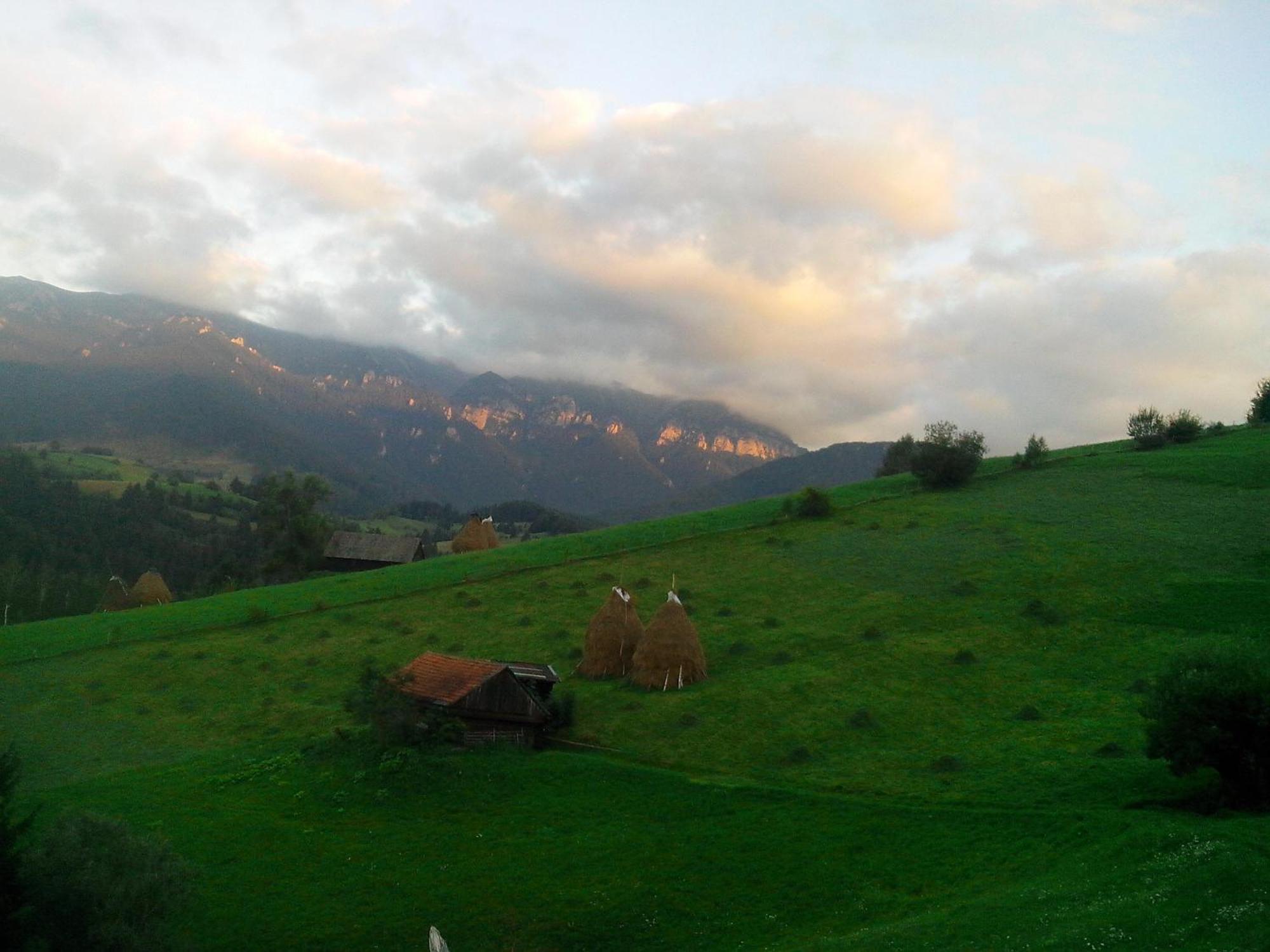Vila Doina Branului Bran  Exteriér fotografie