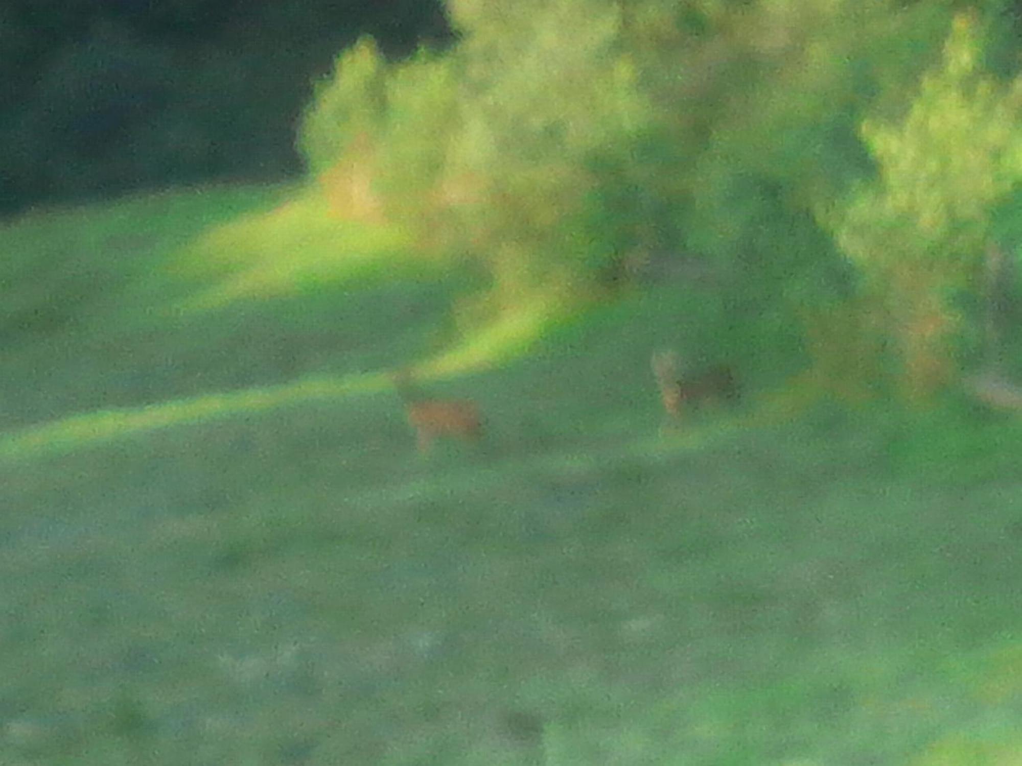 Vila Doina Branului Bran  Exteriér fotografie