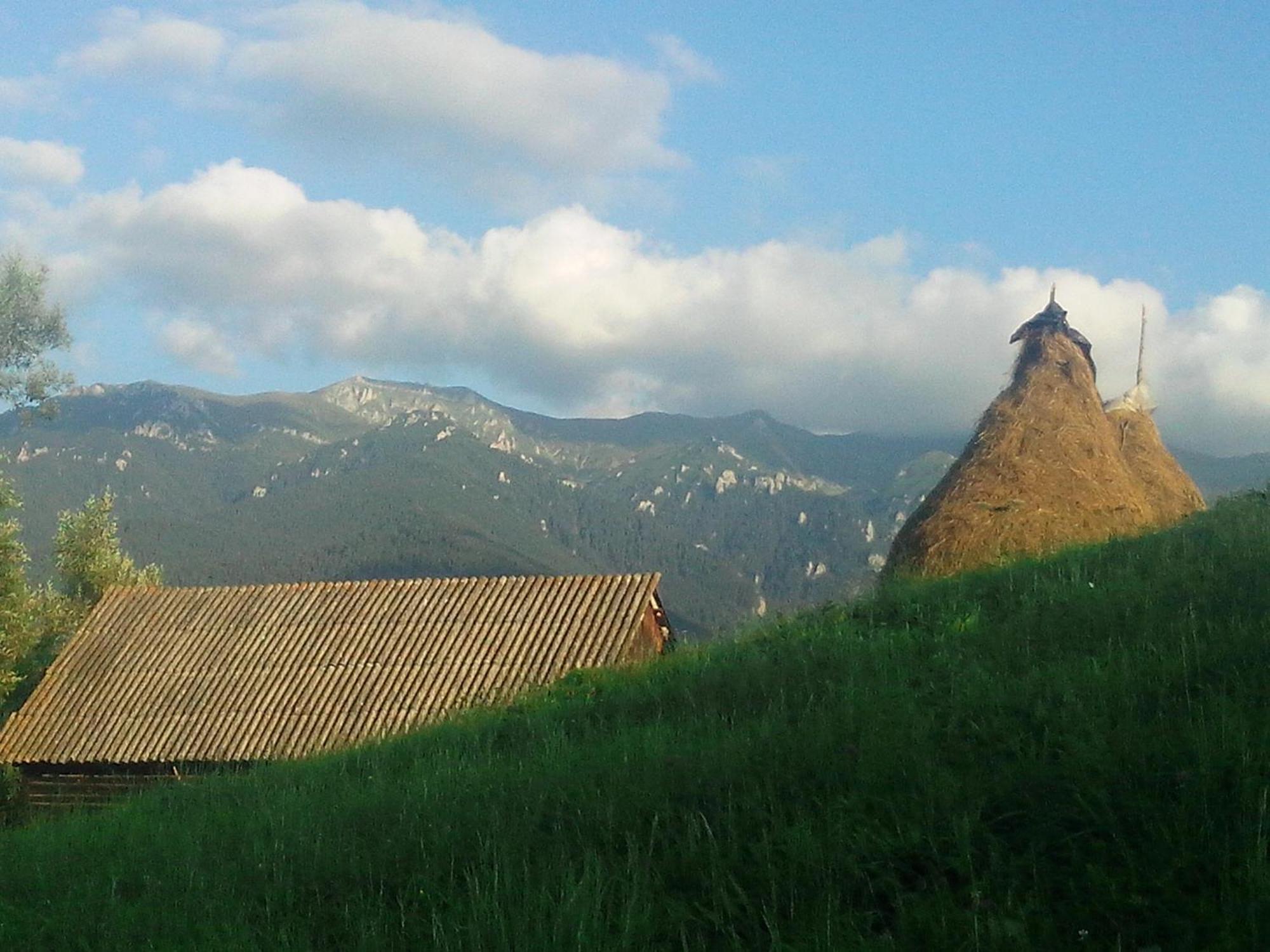 Vila Doina Branului Bran  Exteriér fotografie