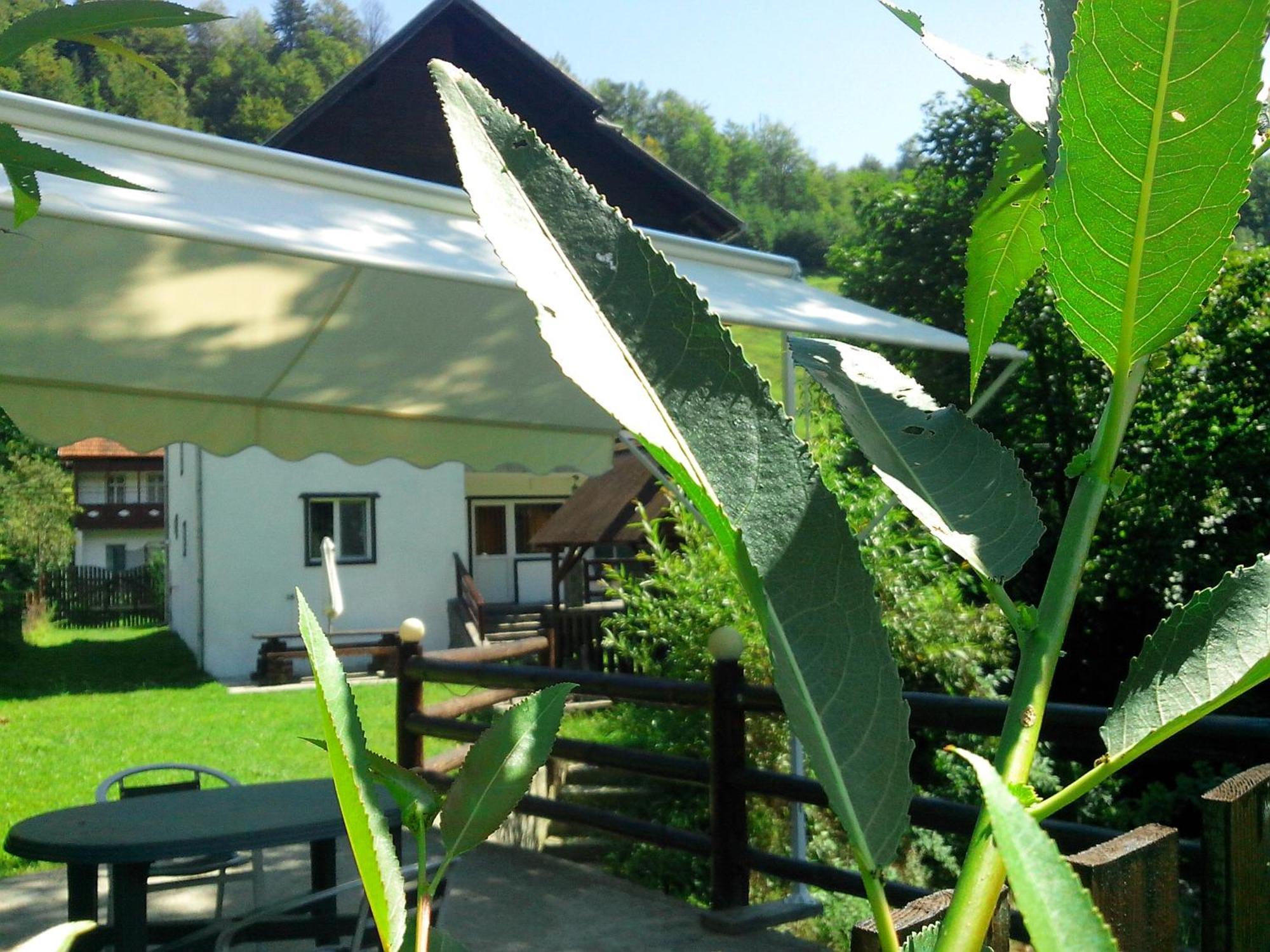 Vila Doina Branului Bran  Exteriér fotografie