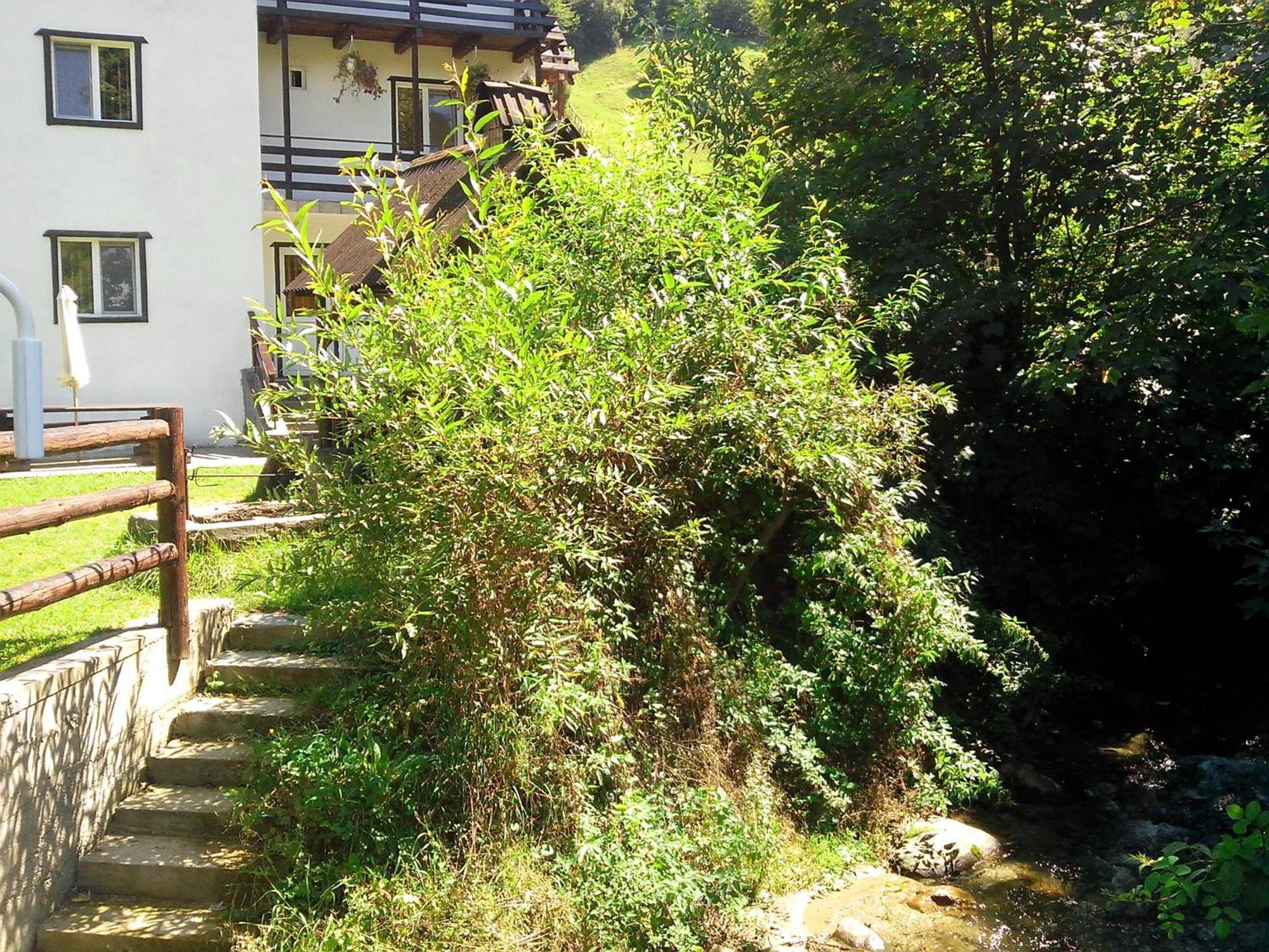 Vila Doina Branului Bran  Exteriér fotografie