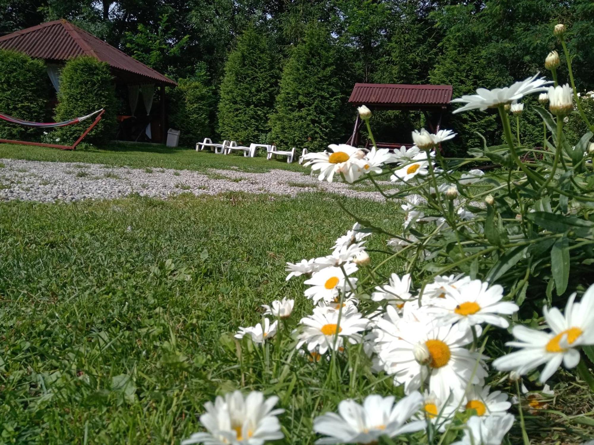 Vila Doina Branului Bran  Exteriér fotografie